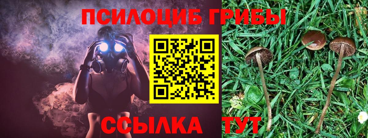 Псилоцибиновые грибы ЛСД Брянск
